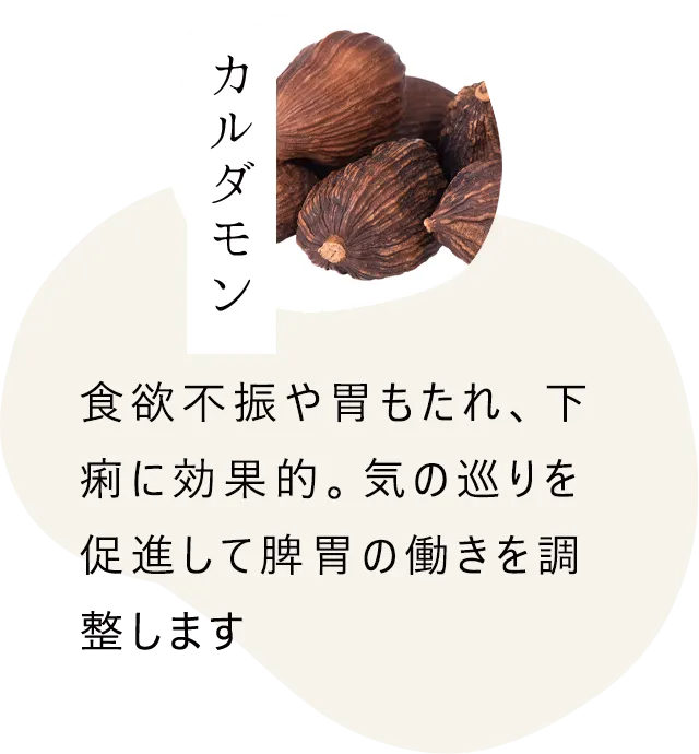 カルダモン｜食欲不振や胃もたれ、下痢に効果的。気の巡りを促進して脾胃の働きを調整します