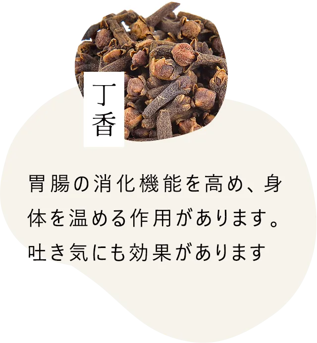 丁香｜胃腸の消化機能を高め、身体を温める作用があります。吐き気にも効果があります