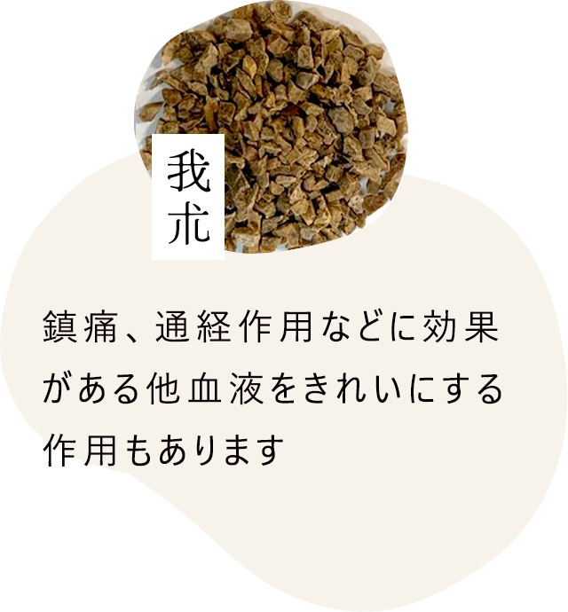 我朮｜鎮痛、通経作用などに効果がある他血液をきれいにする作用もあります
