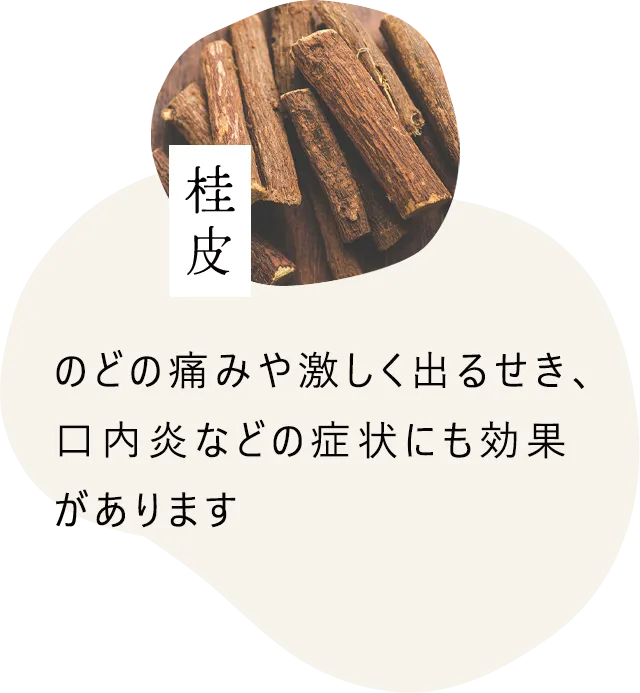 桂皮｜体温熱効果、発汗作用、健胃作用をもつ生薬として利用されています