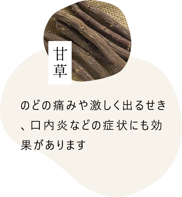 甘草｜のどの痛みや激しく出るせき、口内炎などの症状にも効果があります
