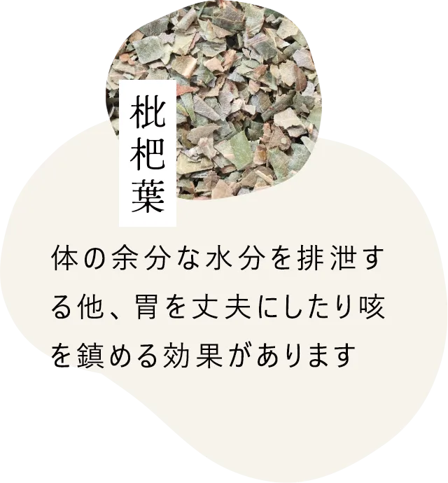 枇杷葉｜体の余分な水分を排泄する他、胃を丈夫にしたり咳を鎮める効果があります